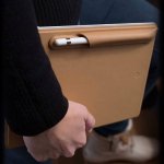 TwelveSouth PencilSnap - магнитен кожен калъф за Apple Pencil (светлокафяв) 2