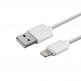 4smarts Wall Charger 12W and Lightning Cable MFI - комплект зарядно за ел. мрежа и сертифициран lightning кабел за устройства с Lightning вход (100см) (бял) (bulk) 3