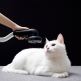 Xiaomi Roidmi X30 Pro Cordless Vacuum Cleaner - преносима прахосмукачка с вградена презареждаема батерия (бял) 1