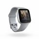 Fitbit Versa (NFC) - умен фитнес часовник с известия и следене на дневната и нощна активност на организма за iOS, Android и Windows Phone (сив-сребрист) 7